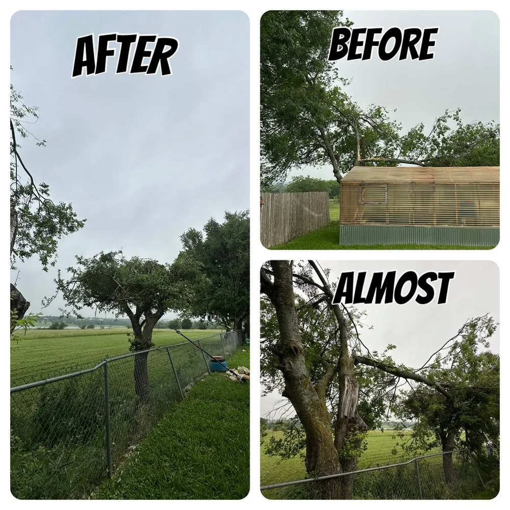 Custom landscape design in Waco, TX - Heavenly Tree And Lawn Care
