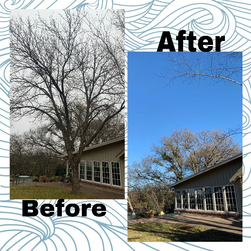 Trusted outdoor landscaping in Waco, TX by Heavenly Tree And Lawn Care