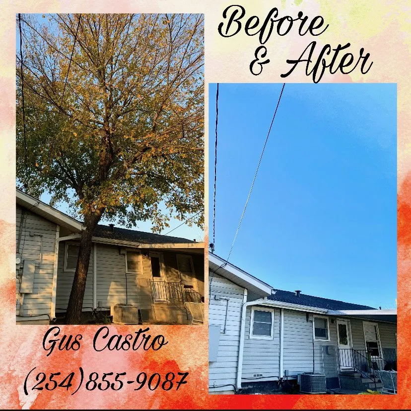 Top-rated lawn mowing service in Waco, TX - Heavenly Tree And Lawn Care