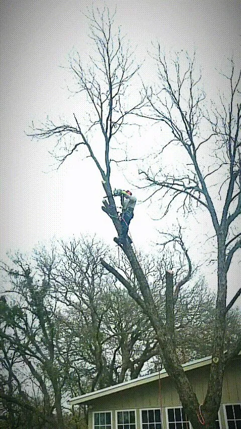 Professional lawn mowing service near you across Waco, TX - Heavenly Tree And Lawn Care