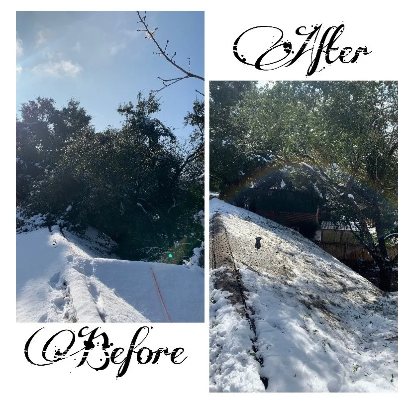 Reliable residential landscaping in Waco, TX by Heavenly Tree And Lawn Care