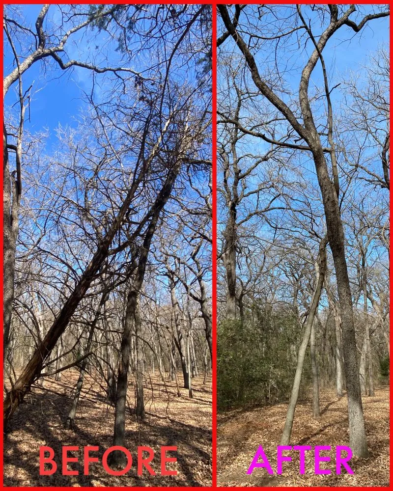 Trusted lawn care service experts serving Waco, TX - Heavenly Tree And Lawn Care