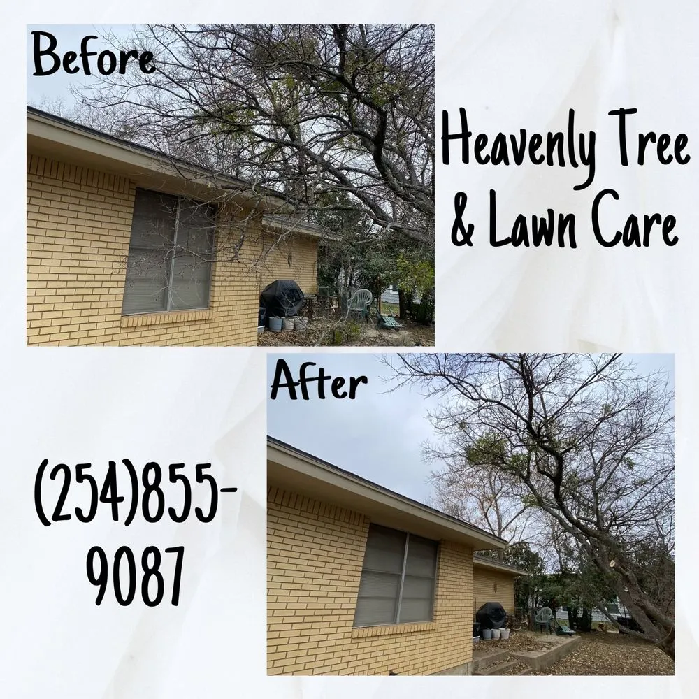 Affordable residential landscaping in Waco, TX by Heavenly Tree And Lawn Care