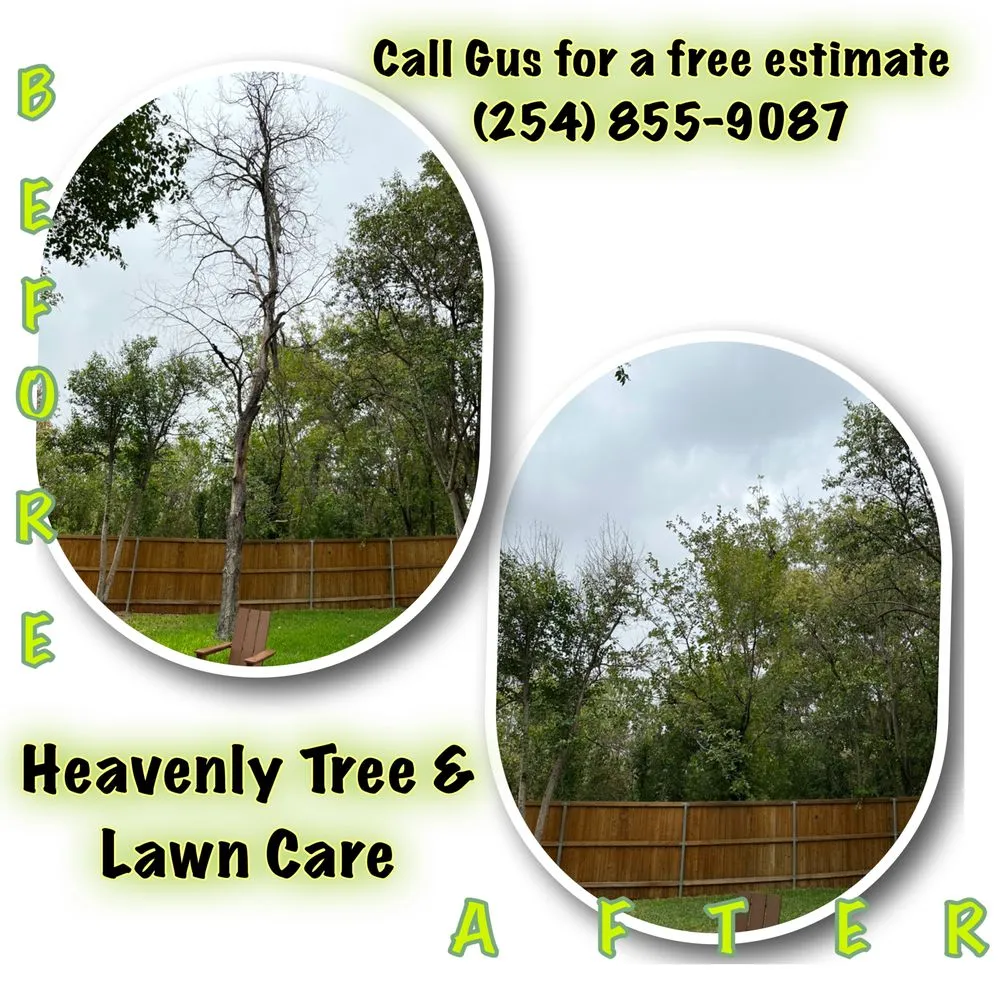 Affordable residential landscaping in Waco, TX - Heavenly Tree And Lawn Care