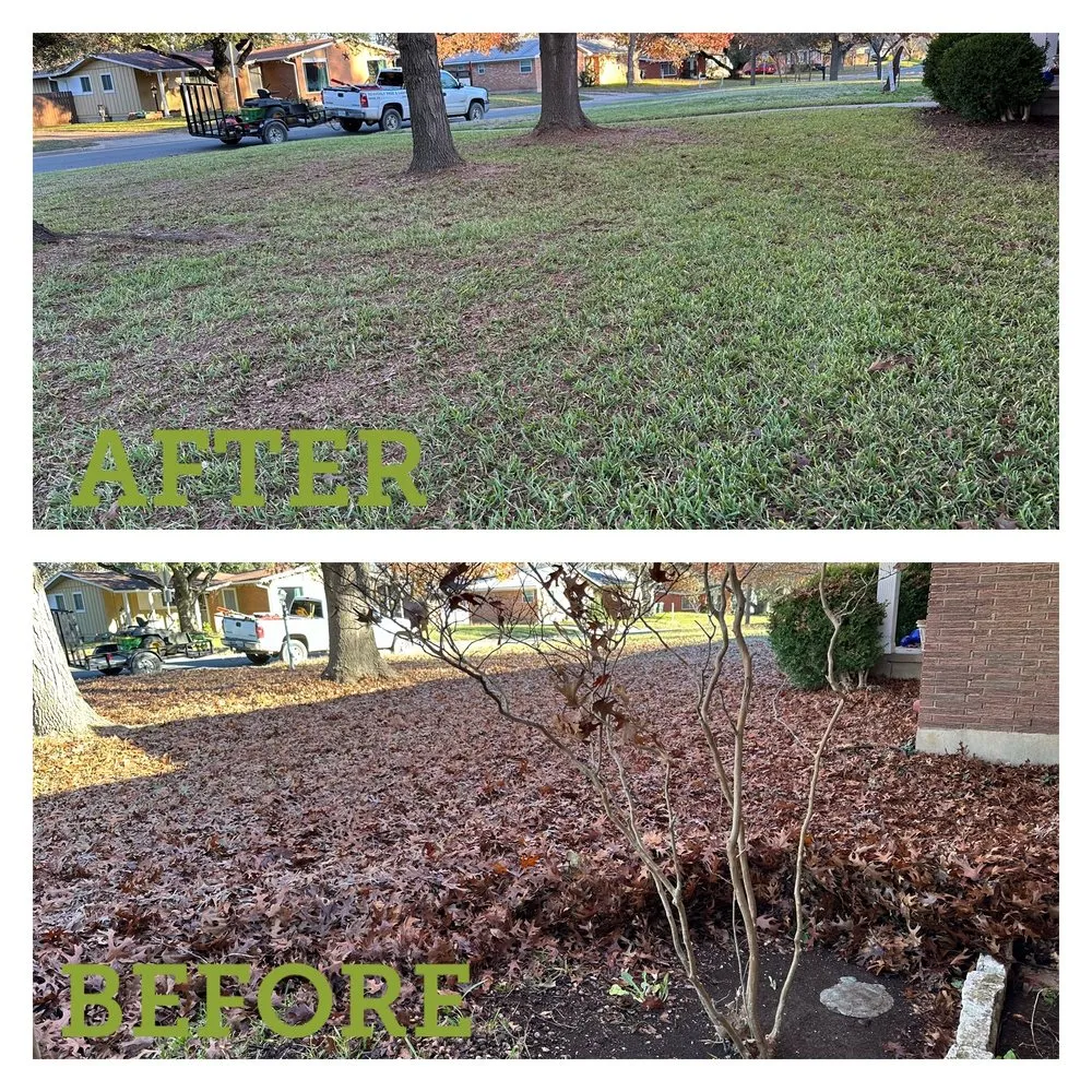 Affordable lawn care service experts serving Waco, TX - Heavenly Tree And Lawn Care