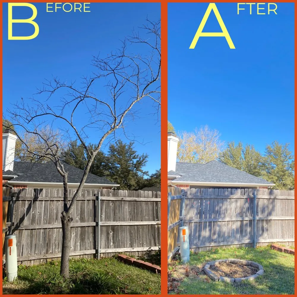 Custom landscape installation in Waco, TX by Heavenly Tree And Lawn Care