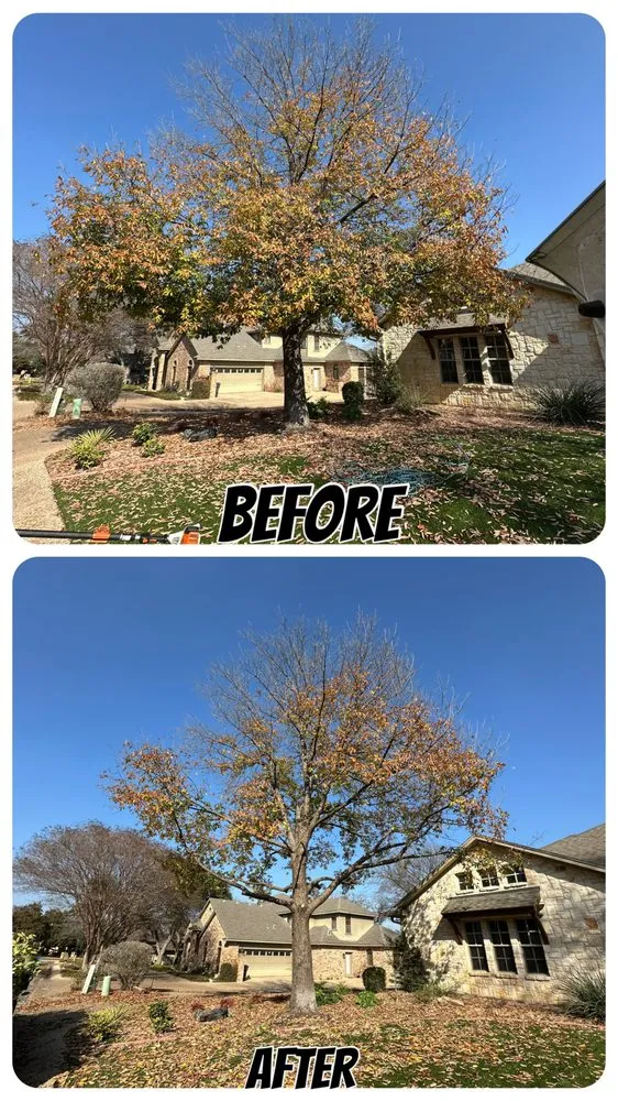 Professional landscape design in Waco, TX by Heavenly Tree And Lawn Care