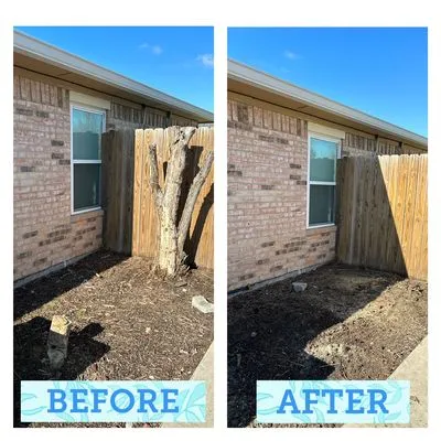 Heavenly Tree And Lawn Care Logo