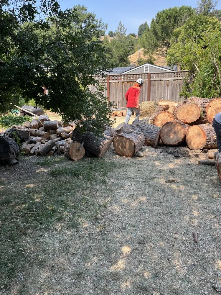 Trusted landscaping services for residential properties across Concord, CA - Heavenly Tree Service