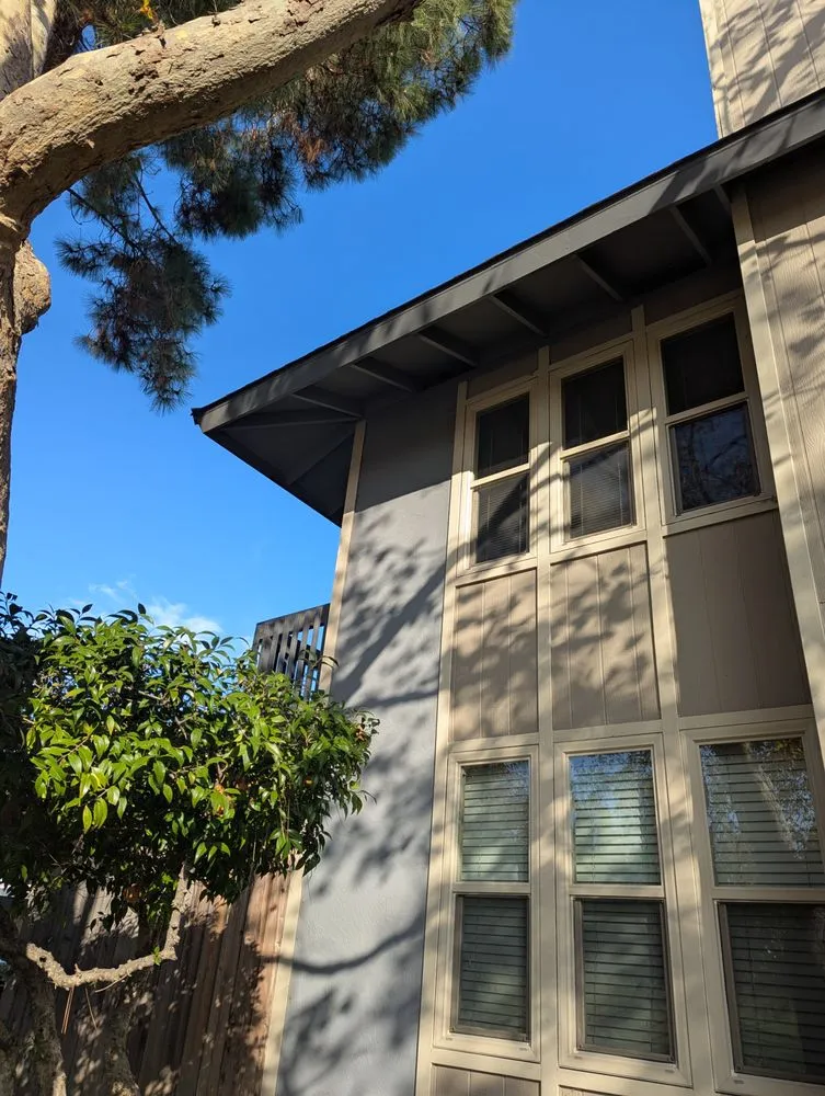 Affordable landscape installation with custom design in Concord, CA by Heavenly Tree Service