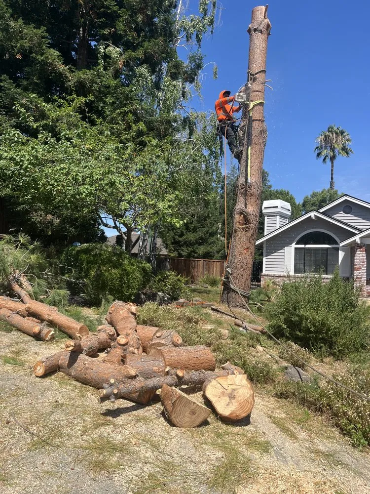 Trusted residential landscaping in Concord, CA - Heavenly Tree Service