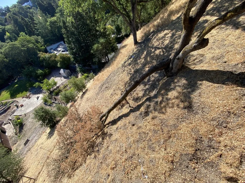 Reliable outdoor landscaping for residential properties across Concord, CA - Heavenly Tree Service