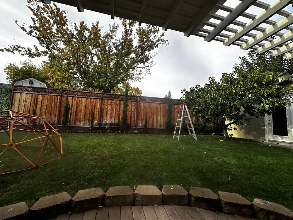 Affordable lawn care service in Concord, CA - Heavenly Tree Service