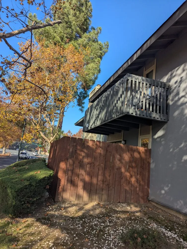 Affordable landscape installation in Concord, CA by Heavenly Tree Service