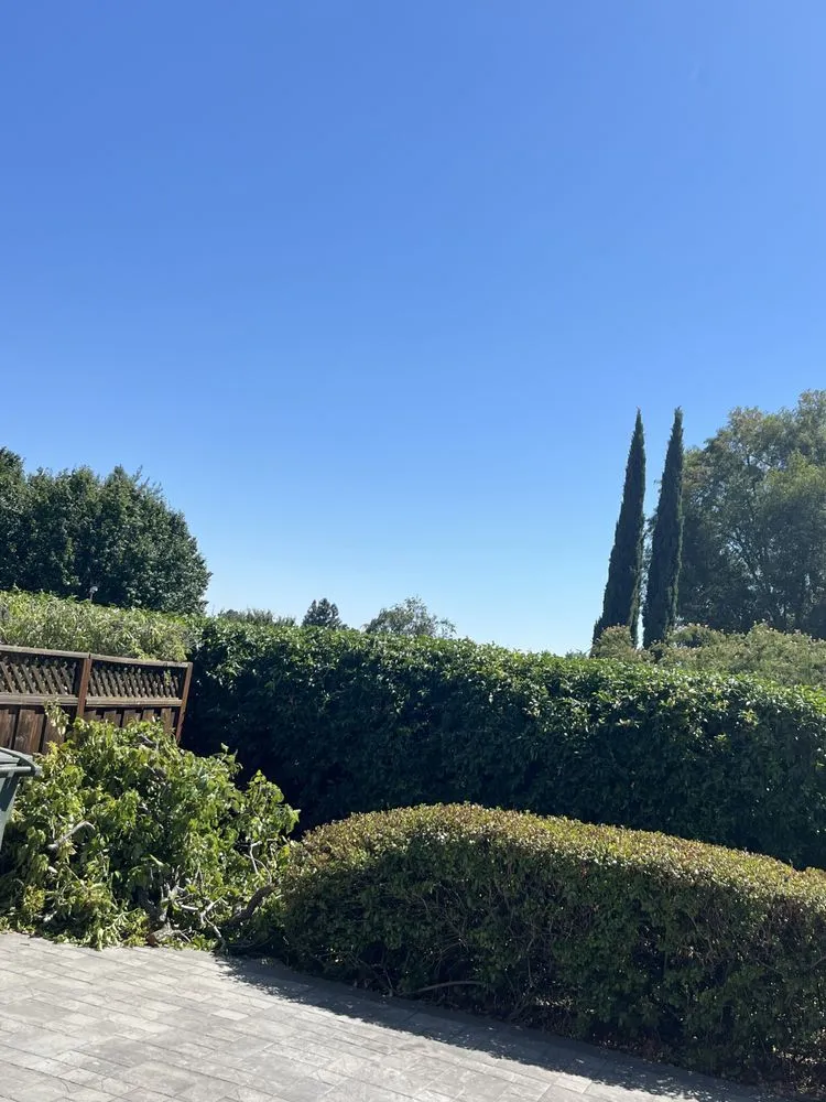 Trusted lawn mowing service experts serving Concord, CA - Heavenly Tree Service