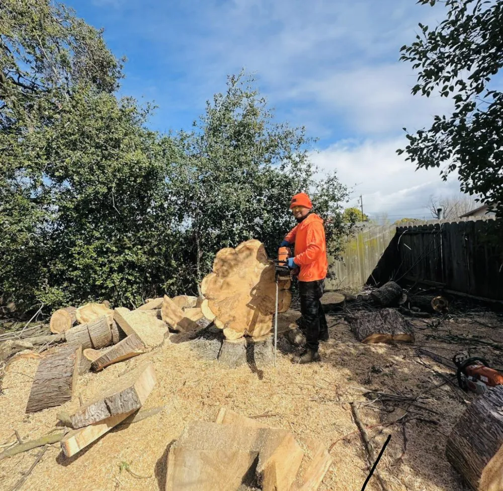 Expert residential landscaping in Concord, CA - Heavenly Tree Service