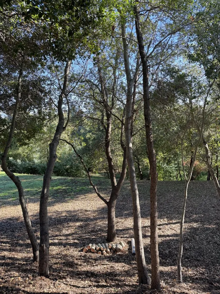 Reliable garden landscaping experts serving Concord, CA - Heavenly Tree Service