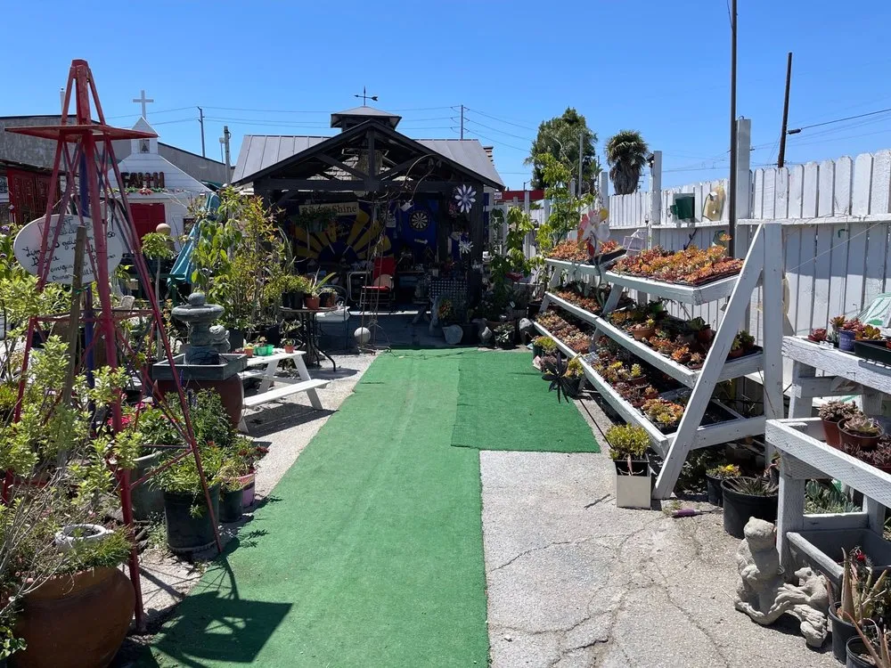 Reliable yard maintenance in Long Beach, CA by Heavenly Vintage Nursery