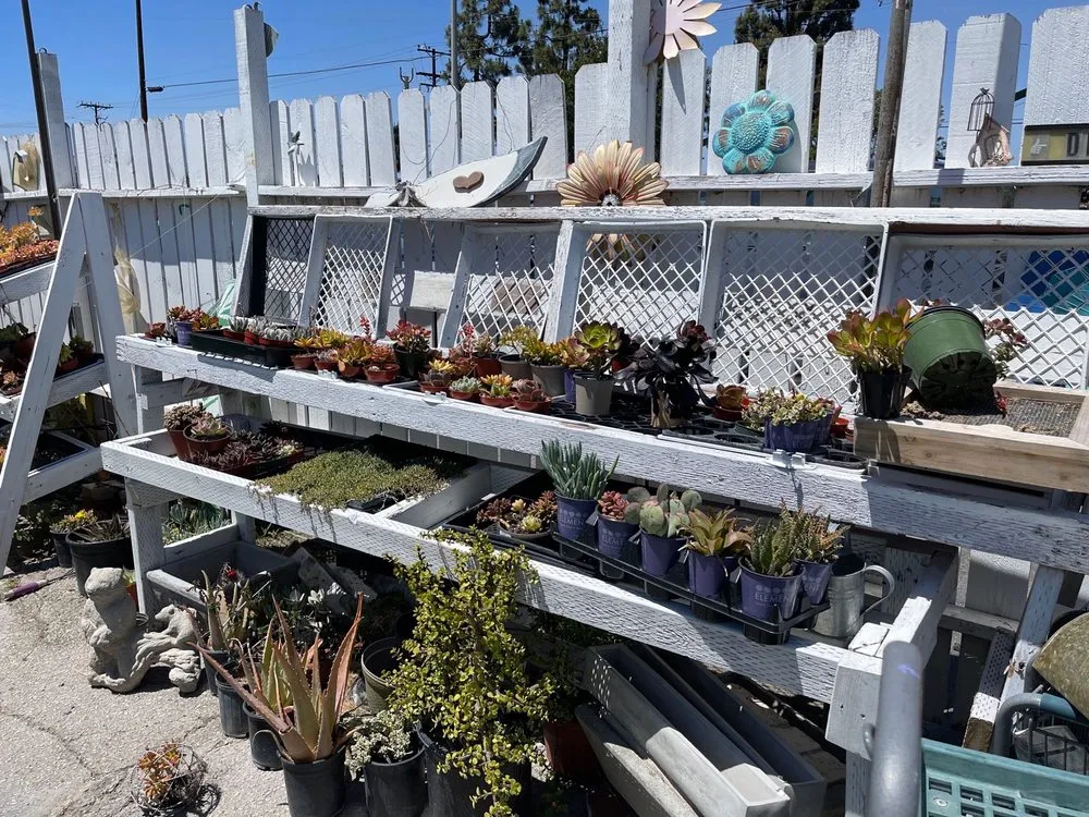 Expert landscape design in Long Beach, CA - Heavenly Vintage Nursery