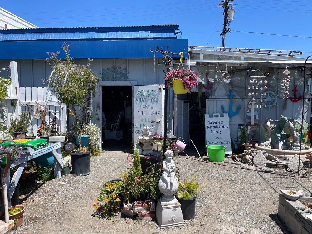 Local outdoor landscaping experts serving Long Beach, CA - Heavenly Vintage Nursery