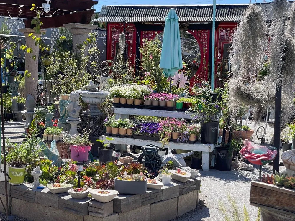 Reliable outdoor landscaping for homes across Long Beach, CA - Heavenly Vintage Nursery