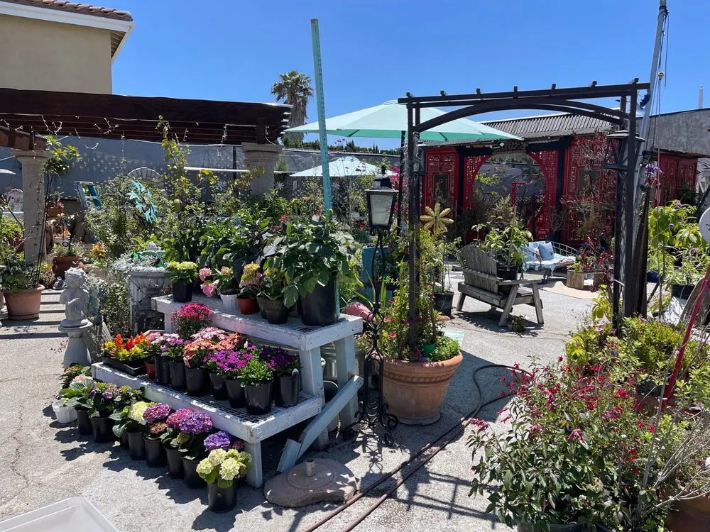 Affordable landscape design for year-round maintenance across Long Beach, CA - Heavenly Vintage Nursery