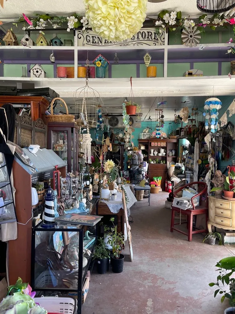 Top-rated lawn care service for outdoor upgrades in Long Beach, CA by Heavenly Vintage Nursery