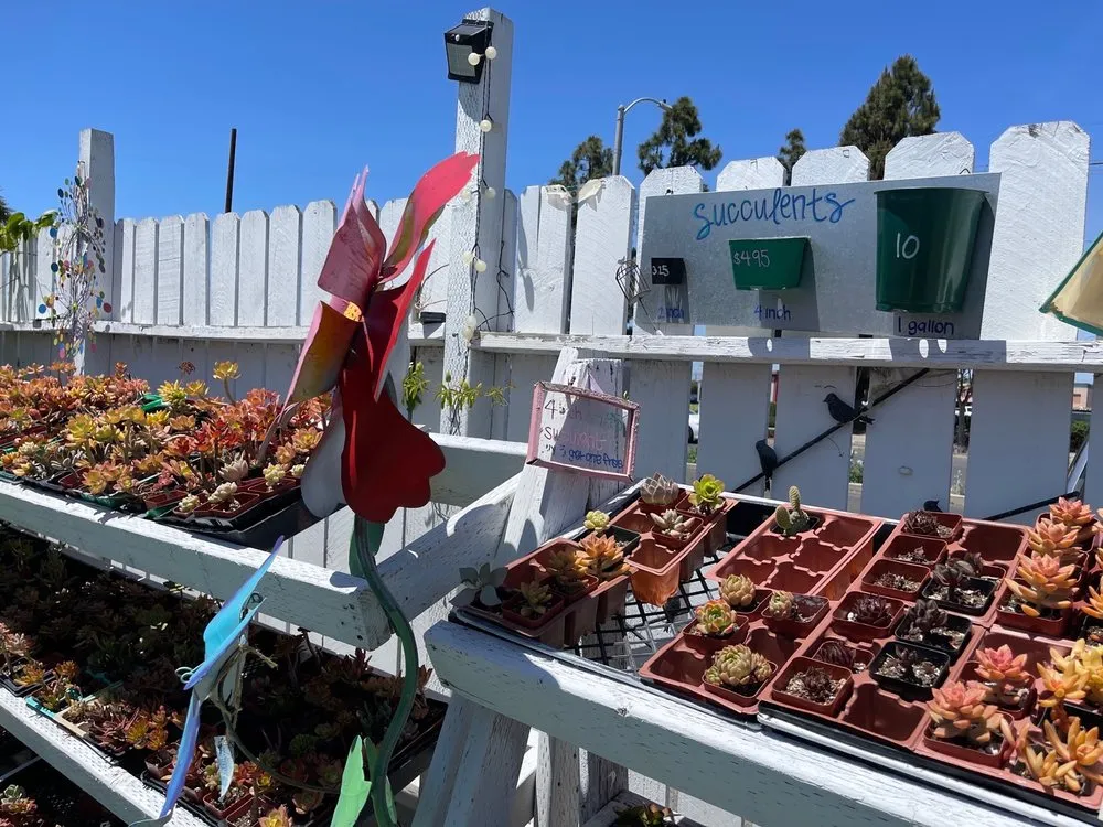 Local yard maintenance experts serving Long Beach, CA - Heavenly Vintage Nursery