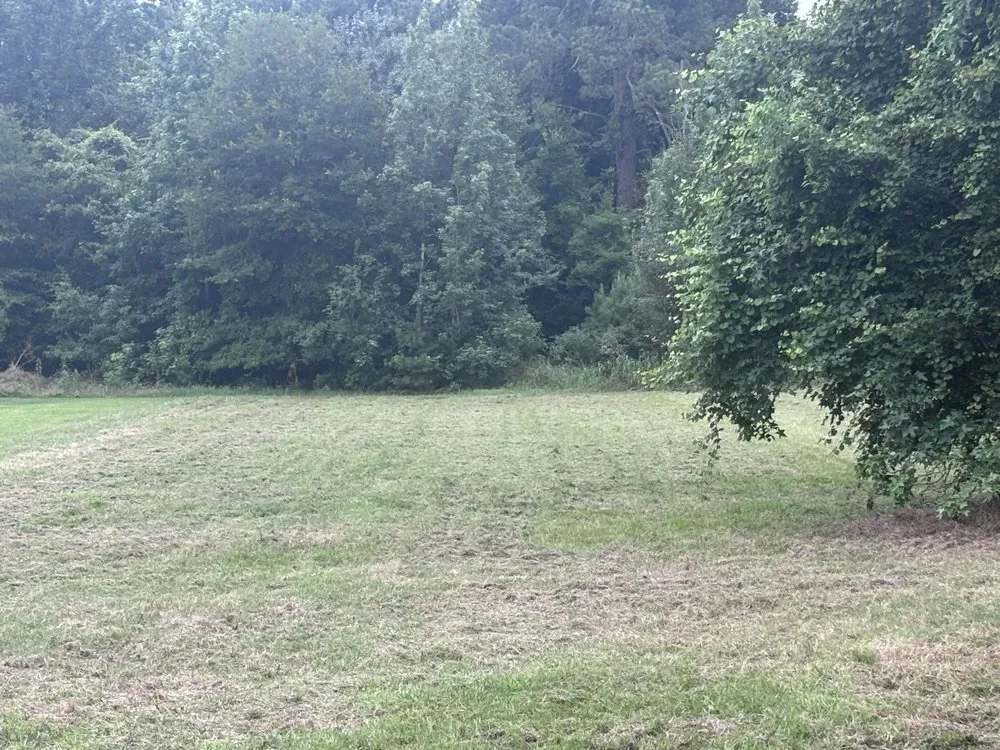 Custom landscape design for residential properties across Longview, TX - Heavenly Yards and More