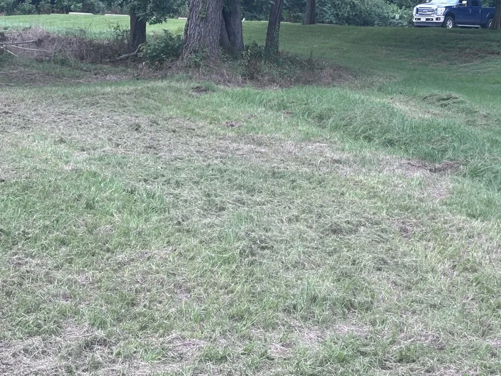 Custom residential landscaping for beautiful yards in Longview, TX by Heavenly Yards and More