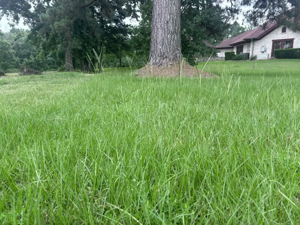 Trusted lawn mowing service for outdoor upgrades across Longview, TX - Heavenly Yards and More
