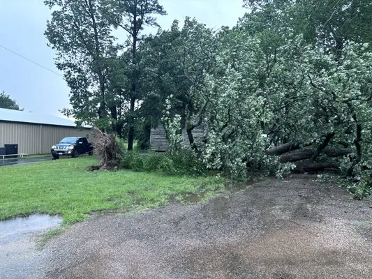 Heavenly Yards and More Logo