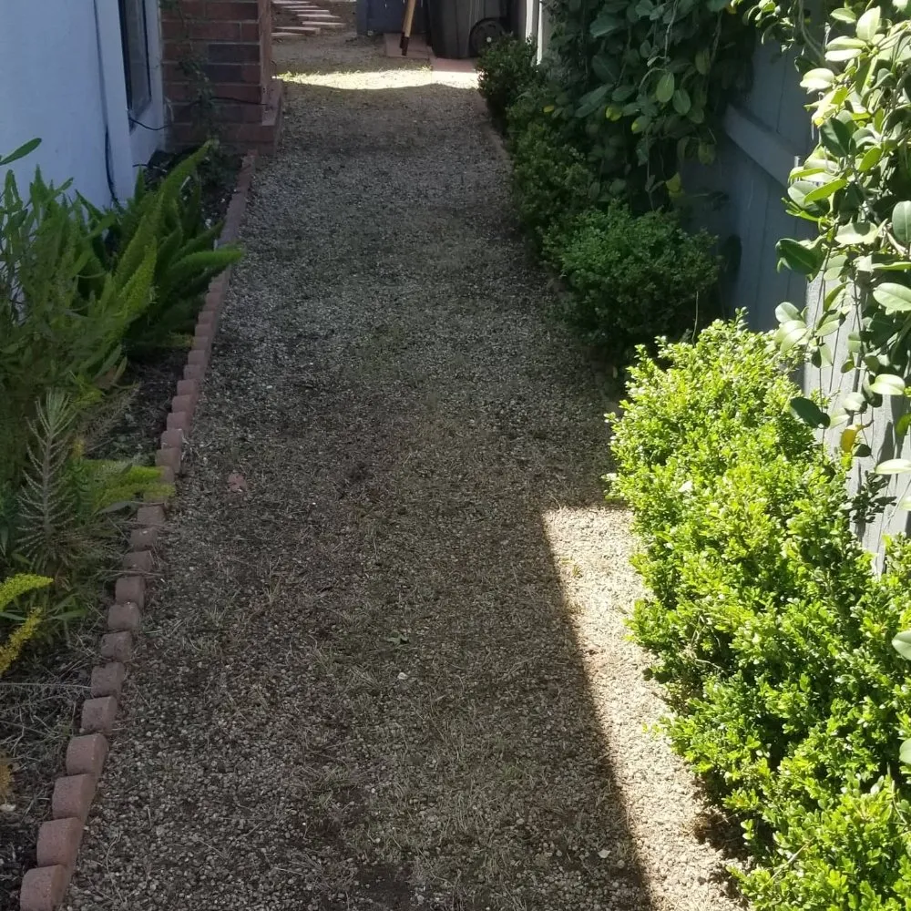 Affordable yard maintenance in Costa Mesa, CA - Heavenly's Lawn Care