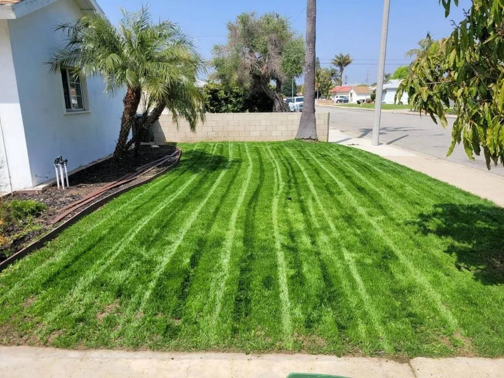 Reliable landscape design experts serving Costa Mesa, CA - Heavenly's Lawn Care