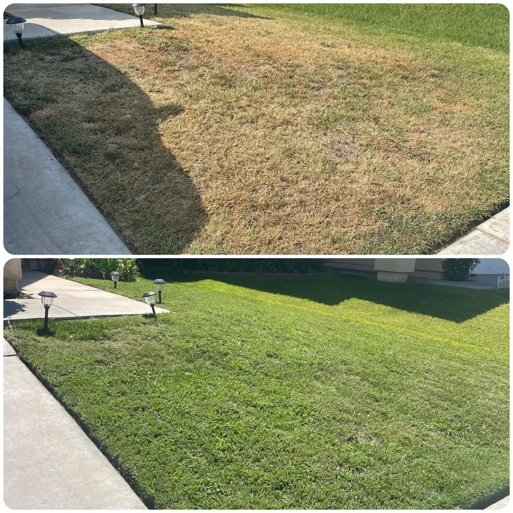 Professional landscape installation in Costa Mesa, CA by Heavenly's Lawn Care
