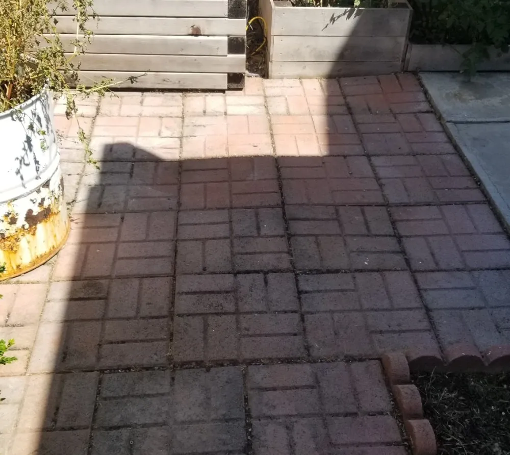 Trusted lawn care service for beautiful yards across Costa Mesa, CA - Heavenly's Lawn Care