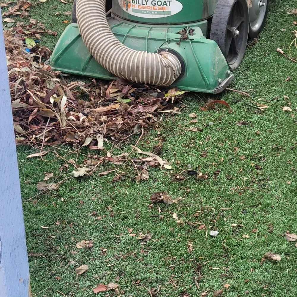 Expert residential landscaping experts serving Costa Mesa, CA - Heavenly's Lawn Care