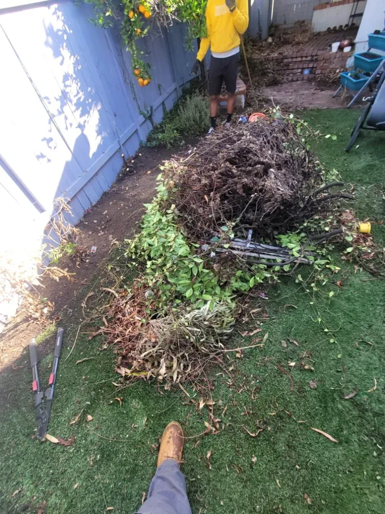 Affordable yard maintenance experts serving Costa Mesa, CA - Heavenly's Lawn Care