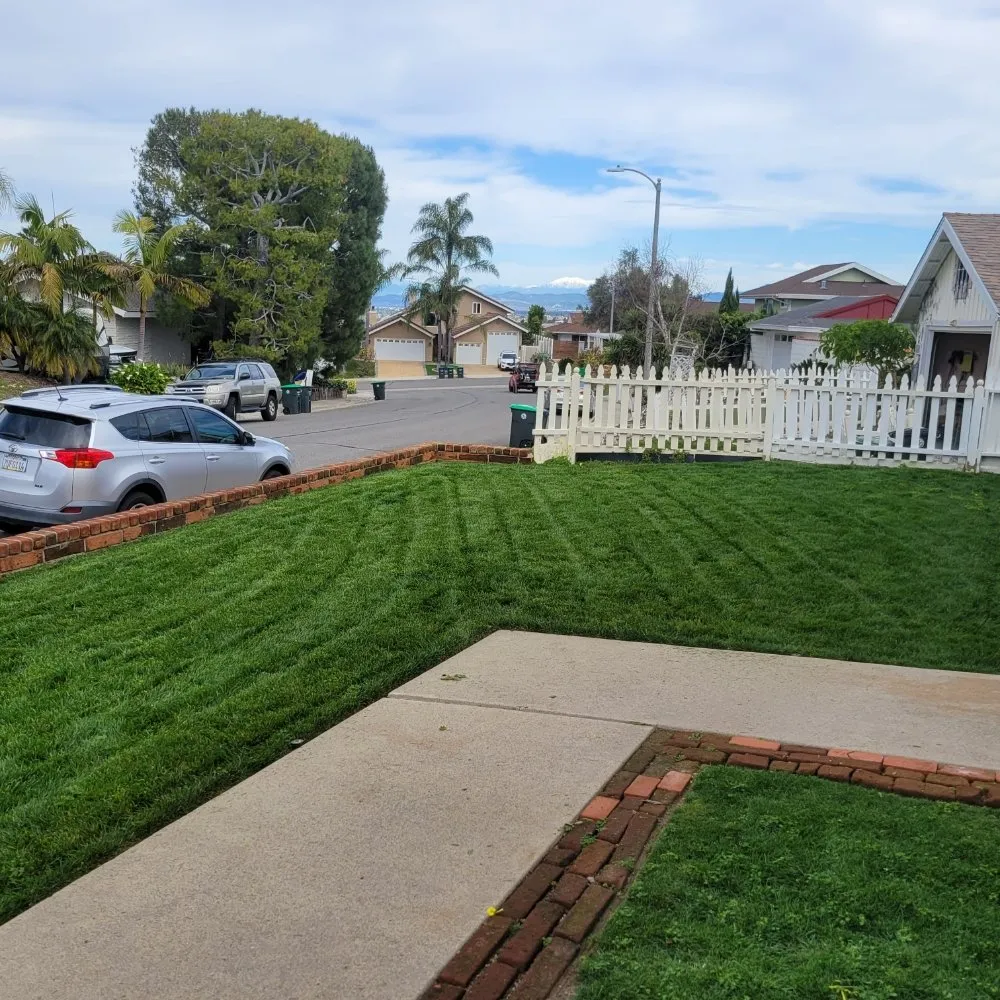 Custom yard cleanup service experts serving Costa Mesa, CA - Heavenly's Lawn Care