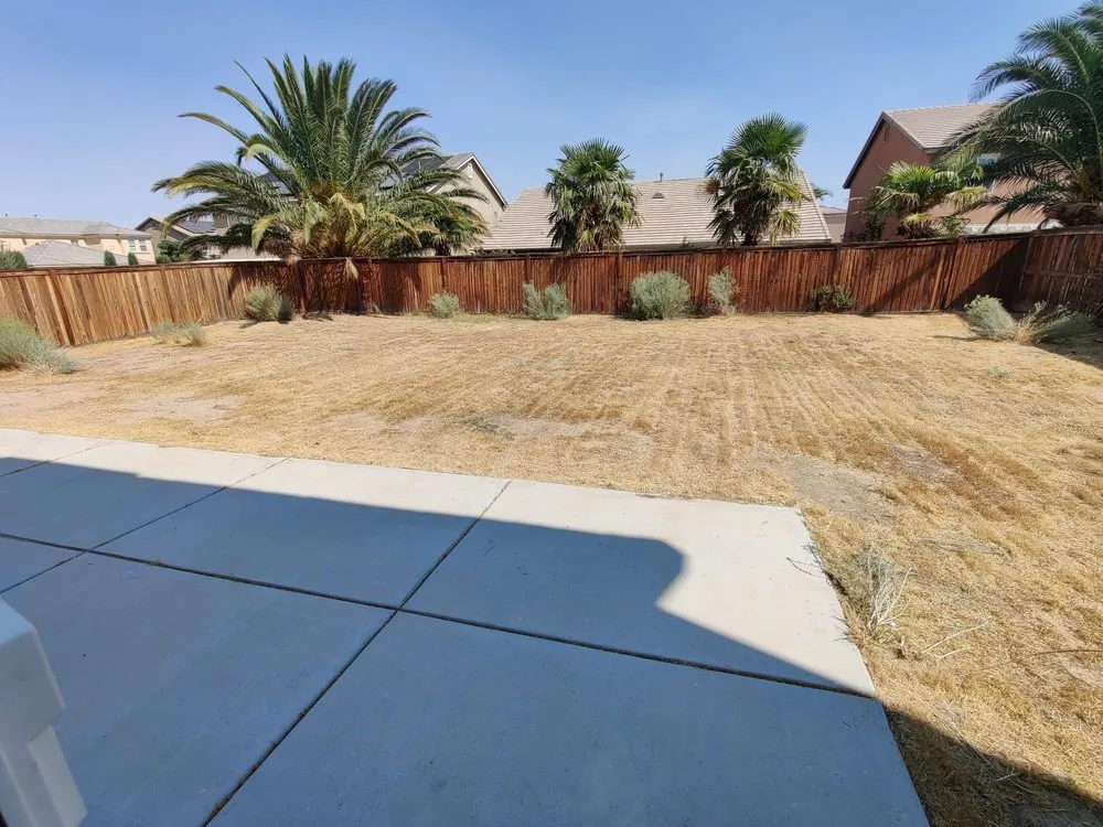 Local yard cleanup service for year-round maintenance in Costa Mesa, CA by Heavenly's Lawn Care