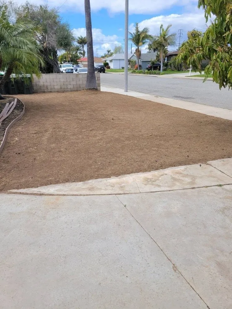 Affordable yard cleanup service for homes in Costa Mesa, CA by Heavenly's Lawn Care