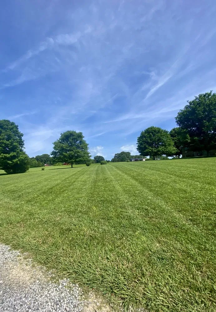 Trusted yard cleanup service for residential properties in Dickson, TN by Heavens Dohr Lawn Services