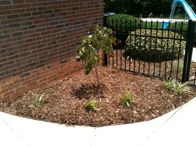 Trusted landscaping services in Charlotte, NC by Heaven's Lawn Landscape