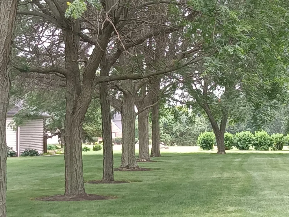 Affordable lawn mowing service in Merrillville, IN by Heaven's L&L