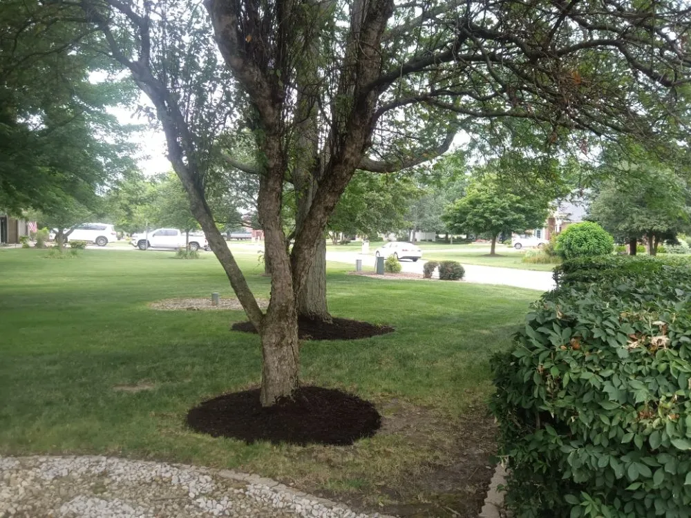 Reliable landscaping services experts serving Merrillville, IN - Heaven's L&L