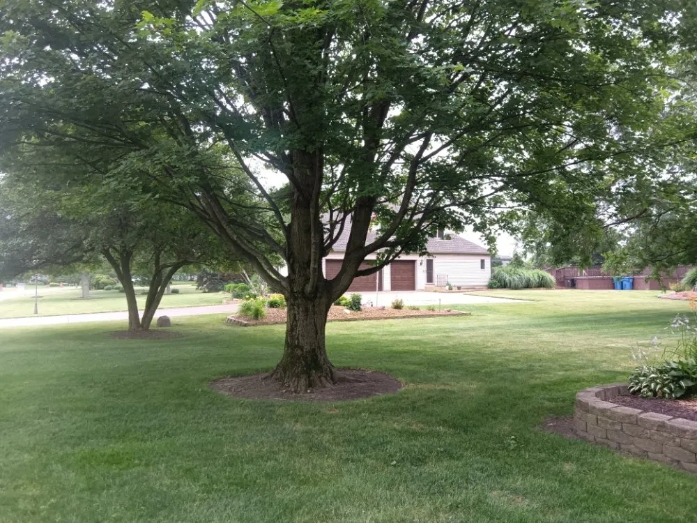 Reliable lawn mowing service experts serving Merrillville, IN - Heaven's L&L