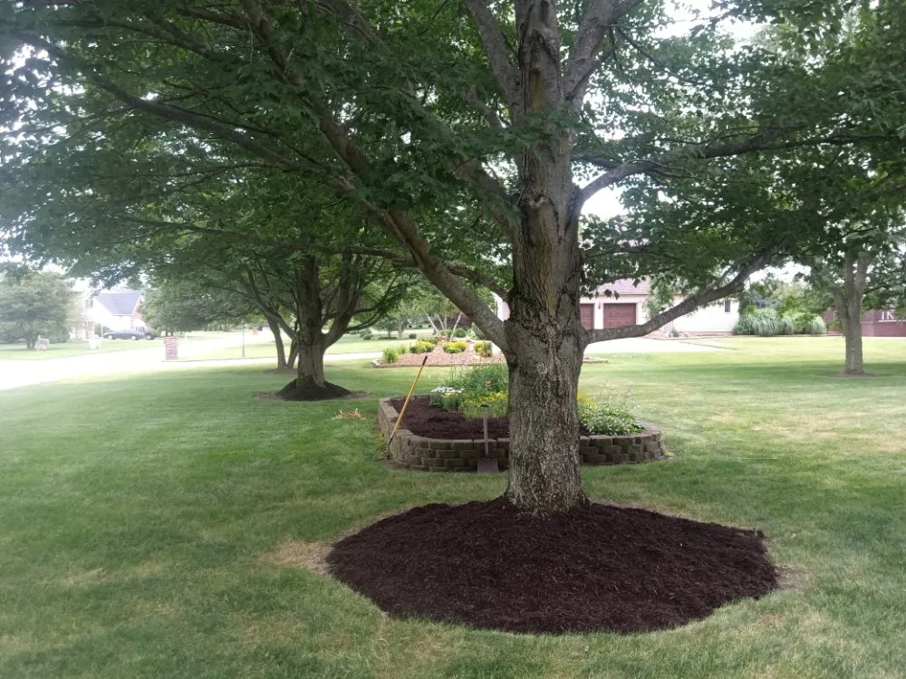 Reliable yard maintenance in Merrillville, IN by Heaven's L&L