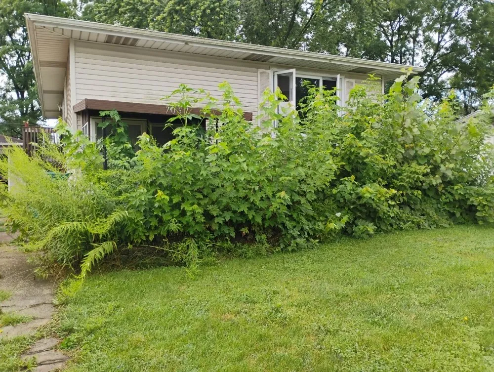 Affordable landscape installation near you across Merrillville, IN - Heaven's L&L