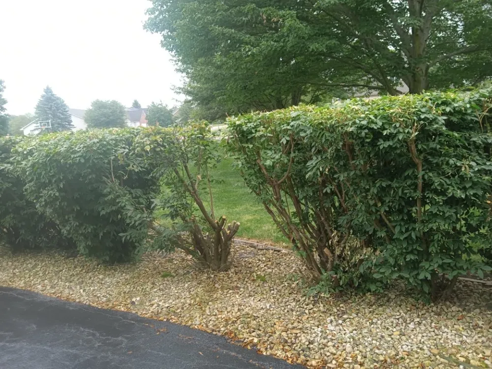 Local lawn care service in Merrillville, IN - Heaven's L&L