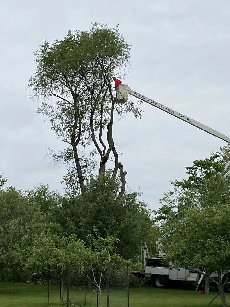Professional landscape installation for year-round maintenance across Winnebago, IL - Heavlin’s Tree Service